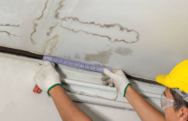 Reliable Water Damage contractor in Kyle, TX by Water Damage Irwin